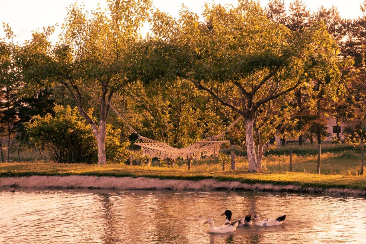 הוילה קופרס Lake House Bebic מראה חיצוני תמונה